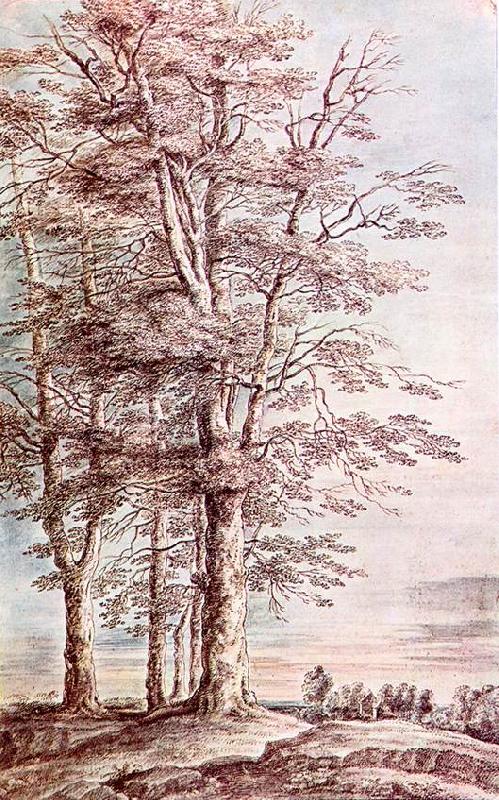 UDEN, Lucas van Landscape with Tall Trees dg Germany oil painting art